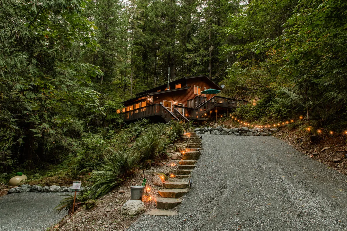 Cabin driveway through trees
